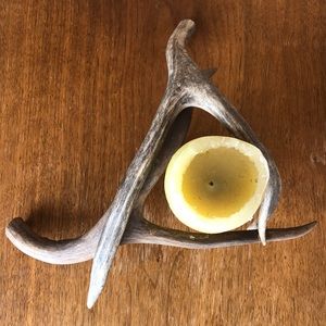 Antler candle holder